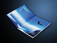 深圳畫冊設計
